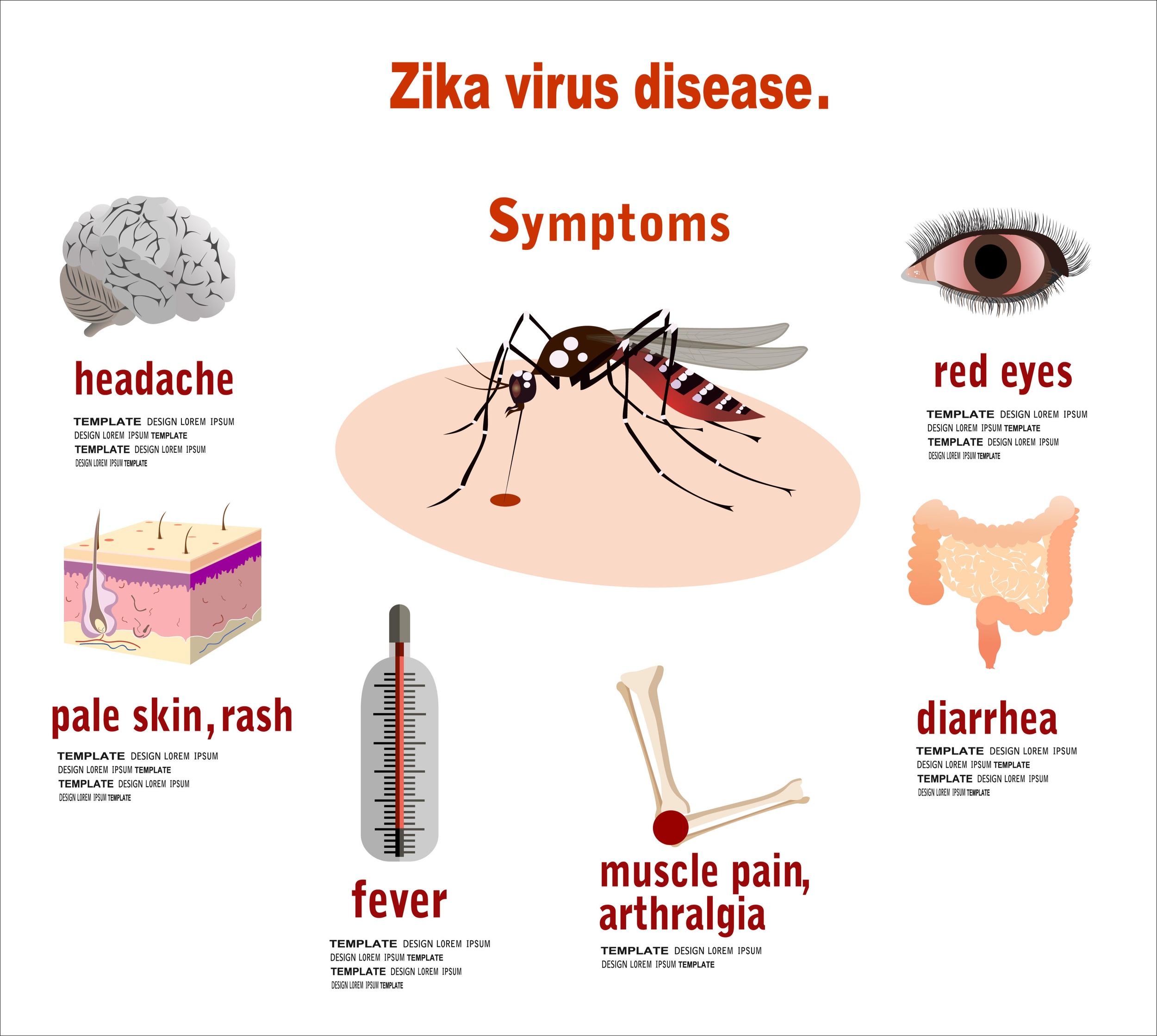 zika virus images infectious disease pictures 